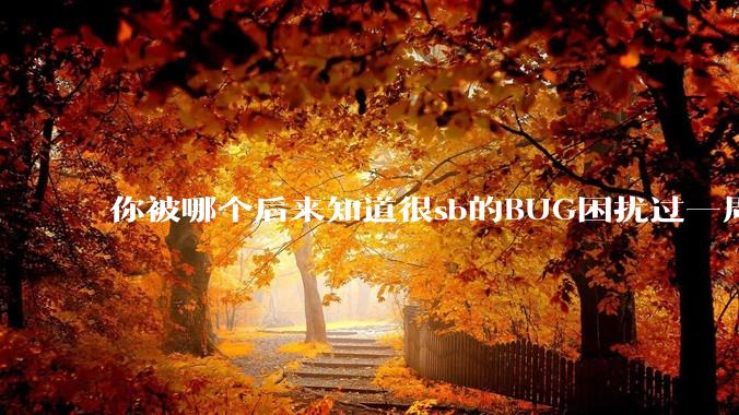 你被哪个后来知道很sb的BUG困扰过一周以上吗？